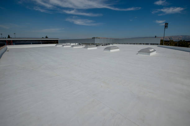 Best Chimney Flashing Repair  in Solvang, CA