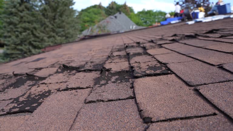 Best Roof Coating and Sealing  in Solvang, CA